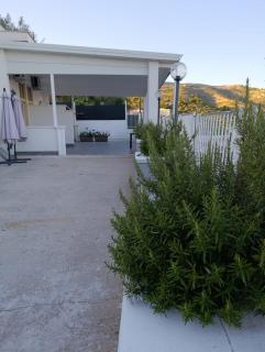 Bed and Breakfast Brezza Marina - Mattinata - 1