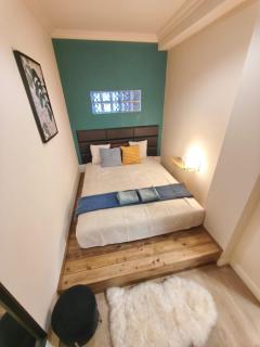 Deluxe Two Bedrooms Apartment in Budapest Center - 7