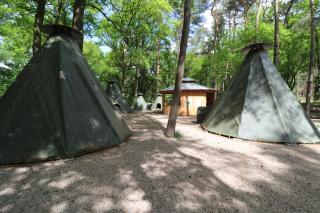 Wolfcenter Tipis - ohne Betten - inklusive Eintritt in das Wolfcenter für zwei Tage - 3