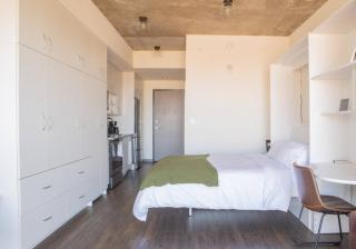 Luxury Penthouse Apt Near Brady St with Balcony and Lake View - 5