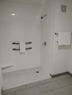 Battle Creek Hotel - 4