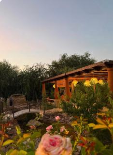 A Green Garden Getaway - 2