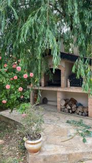 A Green Garden Getaway - 1