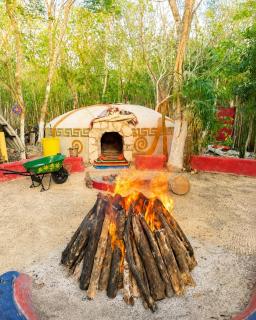 Casita de Jungle - 3