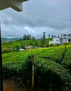 Mist valley Home stay - 6