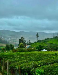 Mist valley Home stay - 3