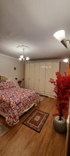 Unique apartment close to Cairo Airport with free pickup and dropoff airport shuttleشقة فاخرة تطل على مطار القاهرة الدولي مع توصيل مجاني من والى المطار 独特舒适的公寓 靠近开罗机场 提供免费机场接送服务 让您的旅程更加轻松便捷 - 7
