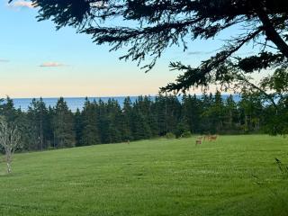 Historic Coastal Retreat - Pool & Sandy Beach Access - 6