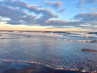 Historic Coastal Retreat - Pool & Sandy Beach Access - 9