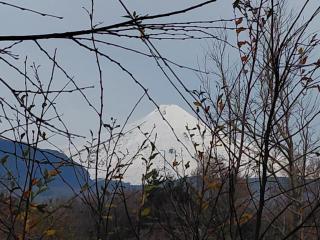 Pucon Hub - 1