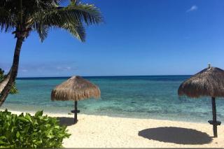 La Tortuga beachfront condo, pool, turtles nest - 1