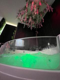 Romance Jacuzzi - Vidéoprojecteur - Terrasse 5min gare - 1