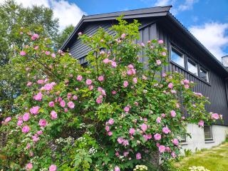 Three bedroom home with an amazing mountain view! - 9