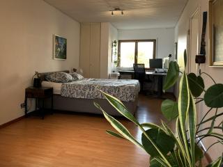 3,5 Zimmer Wohnung mit Parkplatz im 3-Ländereck - 1