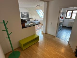 3,5 Zimmer Wohnung mit Parkplatz im 3-Ländereck - 8