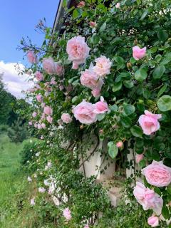Maison chaleureuse à Vaucluse avec jardin spacieux 84 m² - 3