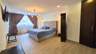Polanco Executive Luxury Suite 250m - 5
