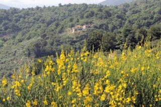 Case Natura - Pontedassio - 9