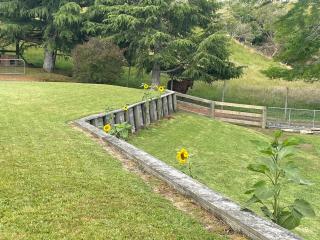 Country cottage retreat-close to Rotorua - 6
