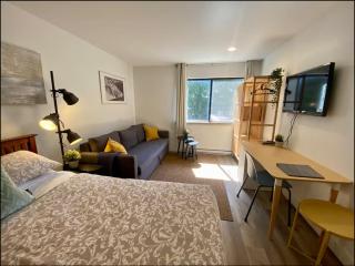 NEW Studio | Free parking | Complex pool & hot tub - 4