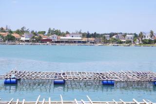 Phu Yen Beachfront Fishing Village Homestay - 3