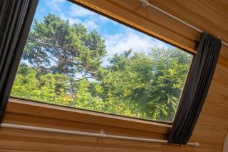 Suwon Solnaeum Camping - 1