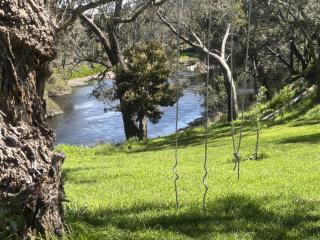 Riverfront, Tiny Home in Natural Bush - 3