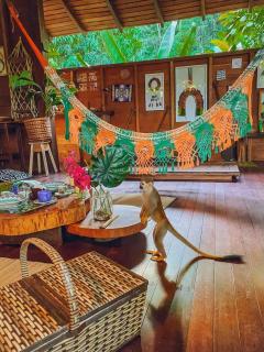 CASA DA ARVORE ALTER sonho na Amazonia 2min a pe da praia - 6