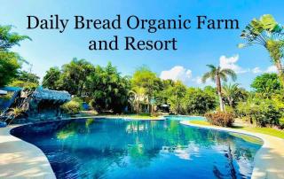 Daily Bread Organic Farm and Resort - 0