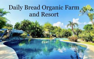 Daily Bread Organic Farm and Resort - 1