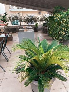 Cozy Central Patras Apartment with Large Private Terrace - 7