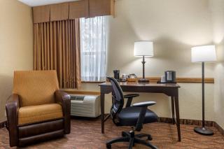 Comfort Inn at Thousand Hills - 5