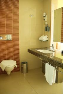 Radha Regent Electronic City - 8