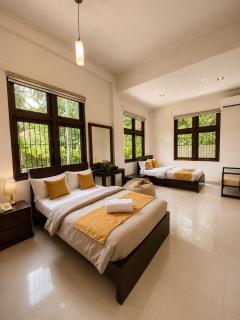 Dhanora Dynasty Resort - 3