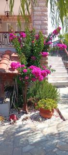 Lena's Family Home - 8