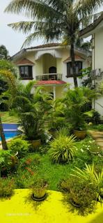 Asif 3 bedroom luxury villa with swimming pool and kitchen - 6