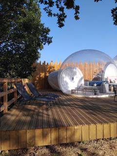 La Bulle des Brosses étoilées - 6
