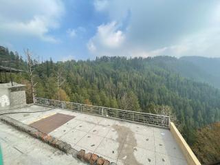 Pine View - 3