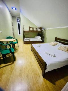 cottage in tsemi (Borjomi) - 1
