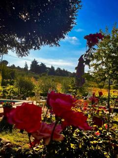 Casa do Beco B&B Douro - Guest House - 5