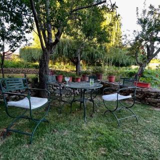 Casa do Beco B&B Douro - Guest House - 7