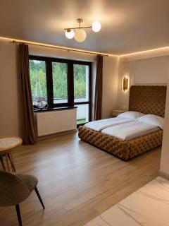 Apartamenty i pokoje nowomiejska 119 - 3