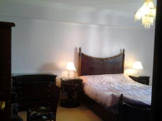 Kafr Abdo Apartment - 3