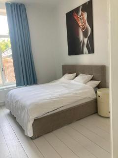Elegant Manor House - 1