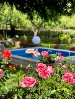 Casa do Beco B&B Douro - Guest House - 8