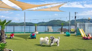 Namhae Bom Yeoreum Gaeul Gyeoul pension - 0