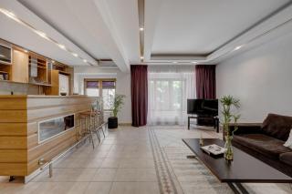 Cozy Apartment Floreasca Park - 7