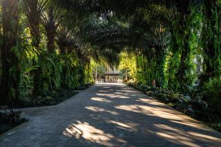 ONYX PARK RESORT Ubud - 4