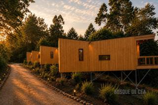 Bosque de Cea - 6