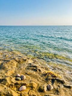 Beach & Pool View Chalet - Ras Sedr - 5
